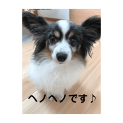[LINEスタンプ] henohenostamps