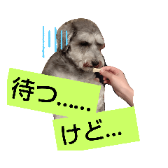 [LINEスタンプ] 太郎の感情。