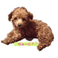 [LINEスタンプ] ここ031