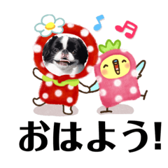 [LINEスタンプ] 狆＆柴犬の毎日の安否確認