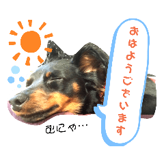 [LINEスタンプ] ちよちゃんすたんぷ