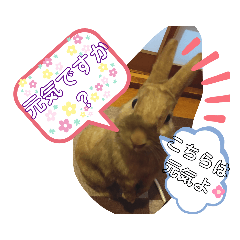[LINEスタンプ] ウサギのももかと申します。