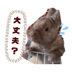 [LINEスタンプ] うさぎのももかです。