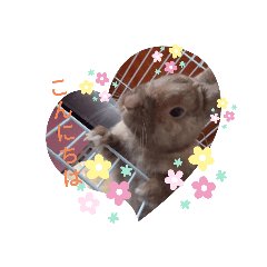 [LINEスタンプ] 我が家のウサギのももか