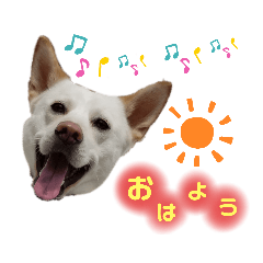[LINEスタンプ] 愛犬ペット【一郎】ミックス犬