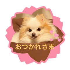 [LINEスタンプ] がっちゃんのスタンプ 佐々木がつこ