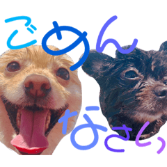 [LINEスタンプ] ぽてと一家。