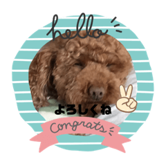 [LINEスタンプ] ここハウス