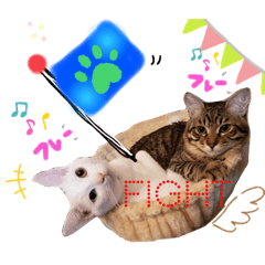 [LINEスタンプ] 仲良し兄弟の1日♡