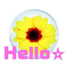 [LINEスタンプ] 日常に使える彩り花スタンプ（English,ver)