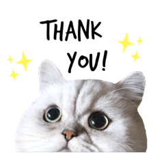[LINEスタンプ] powa ＆ chami