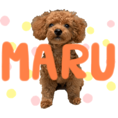 [LINEスタンプ] MARU0326