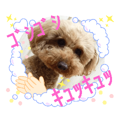 [LINEスタンプ] 伝えたい挨拶