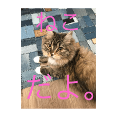 [LINEスタンプ] てりすたんぷ