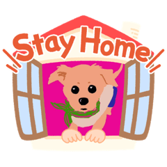 [LINEスタンプ] 愛犬スタンプ(パスカル編)