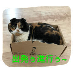 [LINEスタンプ] yujirotochar