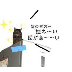 [LINEスタンプ] まきこお嬢様