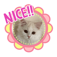 [LINEスタンプ] ラウル＆メイリーの日常