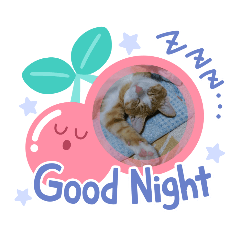 [LINEスタンプ] taanyan