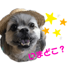 [LINEスタンプ] マルシーズのティナちゃん