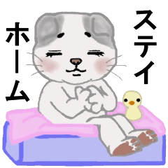 [LINEスタンプ] 垂れ耳猫とお家に居よう