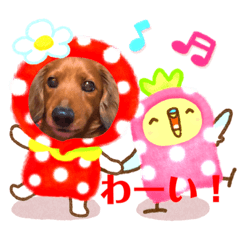 [LINEスタンプ] ミニチュアダックス☆チョコくん