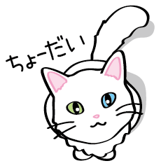 [LINEスタンプ] 白猫“姫”ちゃんの画像（メイン）