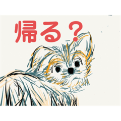 [LINEスタンプ] tan.  memories