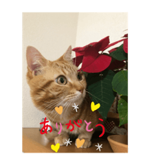 [LINEスタンプ] バロン！
