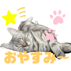 [LINEスタンプ] りるちゃんの日常スタンプ