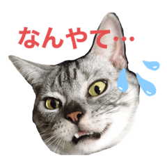 [LINEスタンプ] 二代目マック①