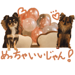 [LINEスタンプ] 空舞と舞のスタンプ①