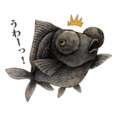 [LINEスタンプ] ペン画のちょっとシュールな金魚スタンプの画像（メイン）