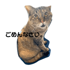 [LINEスタンプ] うちのわさび2