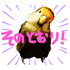 [LINEスタンプ] 日常ぴーたす