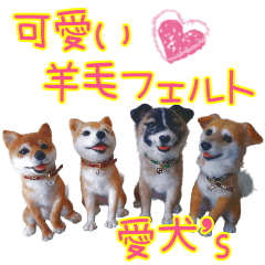 [LINEスタンプ] 可愛い羊毛フェルト・愛犬’s