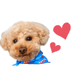 [LINEスタンプ] ミスターるい。