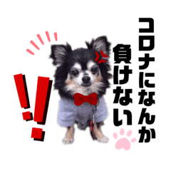 [LINEスタンプ] みんなの日常。。
