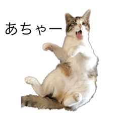 [LINEスタンプ] ミケのミク