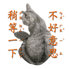 [LINEスタンプ] MEIは私の名前です