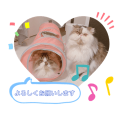 [LINEスタンプ] ふくたまゆめの日常①
