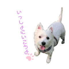 [LINEスタンプ] ウェスティネネの日常