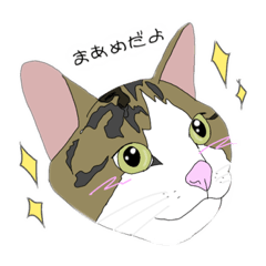 [LINEスタンプ] まあめすたんぷ