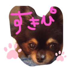 [LINEスタンプ] ちゃむの好きぴすたんぷ