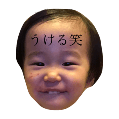 [LINEスタンプ] かこまるちゃんスタンプ