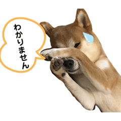 [LINEスタンプ] わんわんずPart2