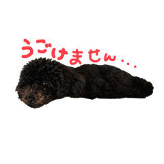 [LINEスタンプ] もすけとちゃちゃ