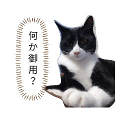 [LINEスタンプ] 影からウシ