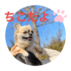 [LINEスタンプ] 私はちこです。II