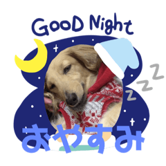 [LINEスタンプ] りきくんだよ